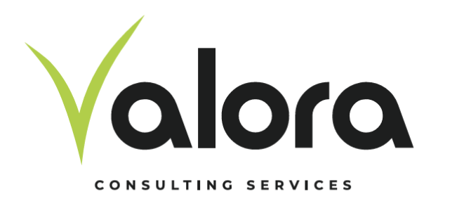 Valora Consulting Services